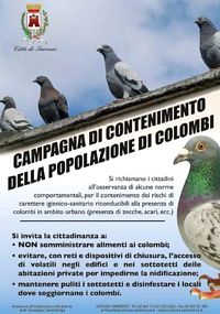 Saronno: Campagna di contenimento della popolazione di colombi Comune di Saronno