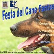 Festa del Cane fantasia 2013 Enpa Saronno