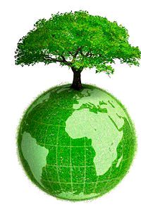 L'economia green come prospettiva di sviluppo degli enti locali della nostra provincia Gruppo Economia e Lavoro - Pd Provincia 
